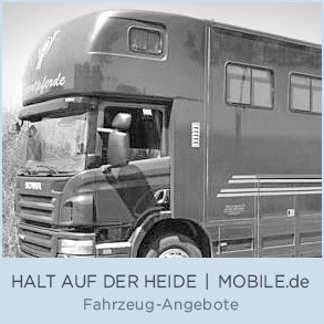 Mobile.de – AXEL HALT AUF DER HEIDE – Verkauf sofort verfügbarer Fahrzeuge, Fahrzeug-Angebote